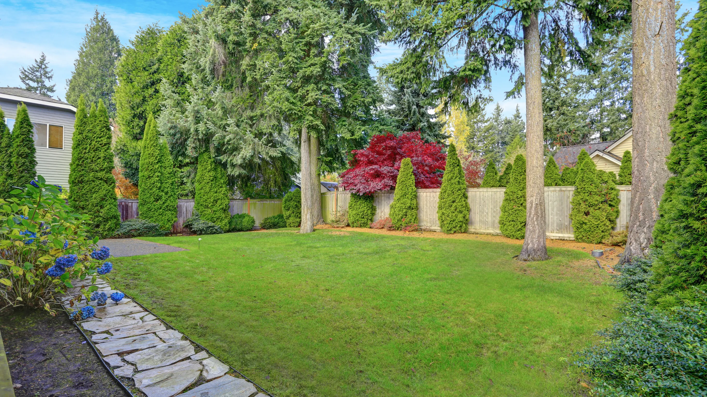 Residential backyard space before backyard cottage ADU construction in Los Angeles
